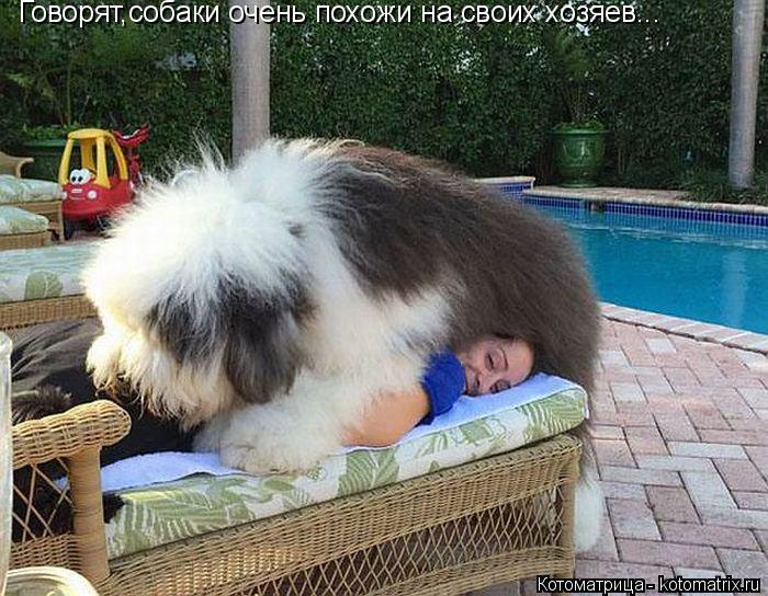 Котоматрица: Говорят,собаки очень похожи на своих хозяев...