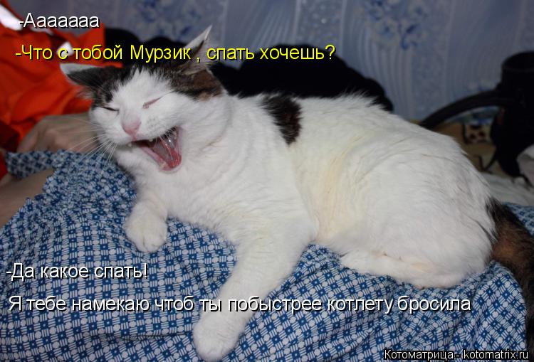 Котоматрица: -Ааааааа -Что с тобой Мурзик , спать хочешь? -Да какое спать!  Я тебе намекаю чтоб ты побыстрее котлету бросила