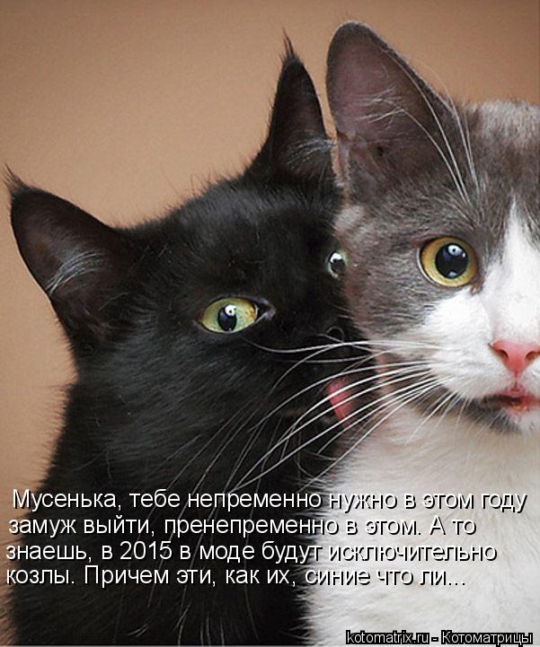 знаешь, в 2015 в моде будут исключительно замуж выйти, пренепременно в этом. А то Мусенька, тебе не... Котоматрица: знаешь, в 2015 в моде будут исключительно замуж выйти, пренепременно в этом. А то Мусенька, тебе непременно нужно в этом году козлы. Причем эт