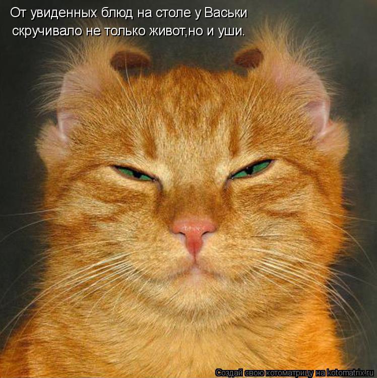 Котоматрица: От увиденных блюд на столе у Васьки скручивало не только живот,но и уши.