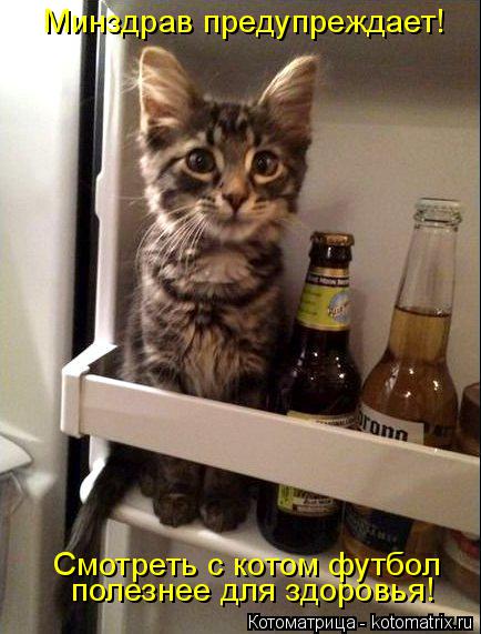 Котоматрица: Минздрав предупреждает! Смотреть с котом футбол полезнее для здоровья!