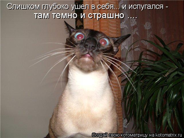Котоматрица: Слишком глубоко ушел в себя... и испугался - там темно и страшно ....