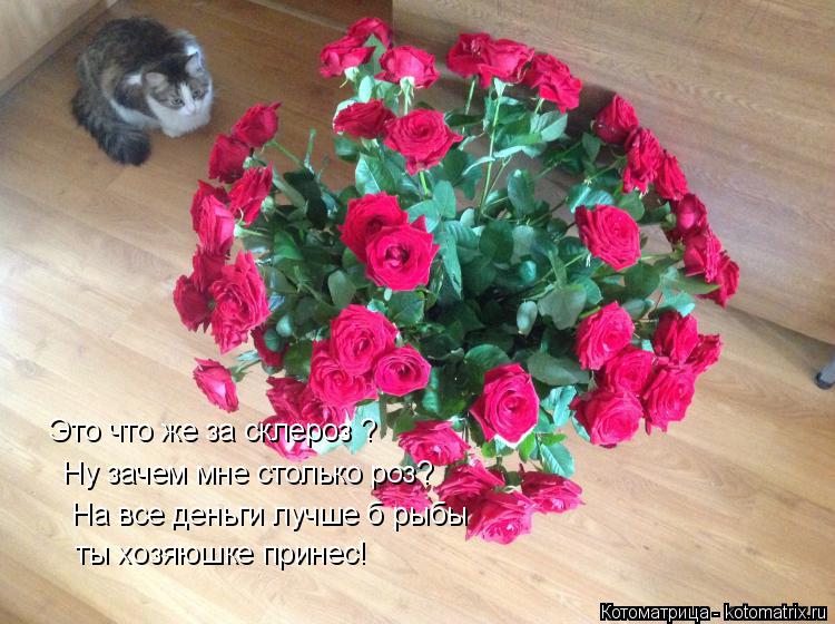 Это что же за склероз ? Ну зачем мне столько роз? На все деньги лучше б рыбы ты хозяюшке принес!... Котоматрица: Это что же за склероз ? Ну зачем мне столько роз? На все деньги лучше б рыбы ты хозяюшке принес!