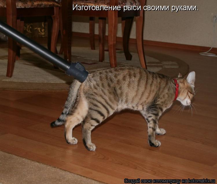 Котоматрица: Изготовление рыси своими руками.