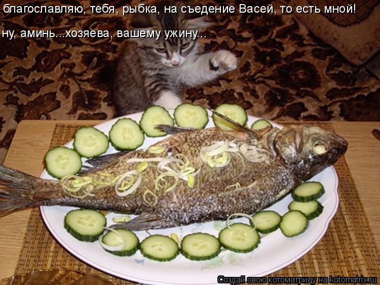 Котоматрица: благославляю, тебя, рыбка, на съедение Васей, то есть мной! ну, аминь...хозяева, вашему ужину...