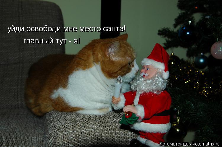 уйди,освободи мне место,санта! главный тут - я!... Котоматрица: уйди,освободи мне место,санта! главный тут - я!