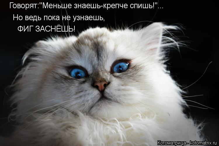 Говорят:"Меньше знаешь-крепче спишь!"... Но ведь пока не узнаешь, ФИГ ЗАСНЁШЬ!... Котоматрица: Говорят:"Меньше знаешь-крепче спишь!"... Но ведь пока не узнаешь, ФИГ ЗАСНЁШЬ!