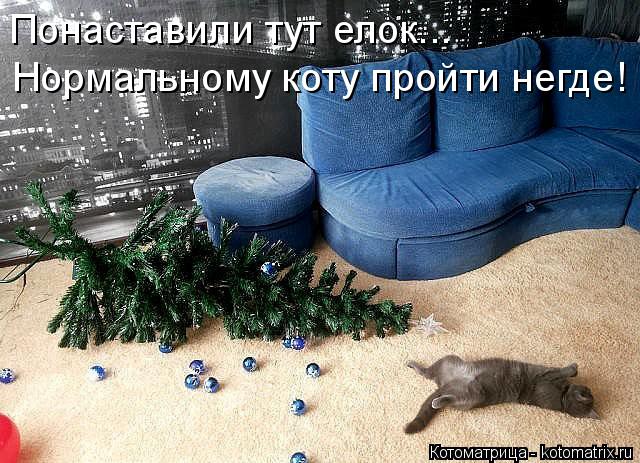 Котоматрица: Понаставили тут елок... Нормальному коту пройти негде!