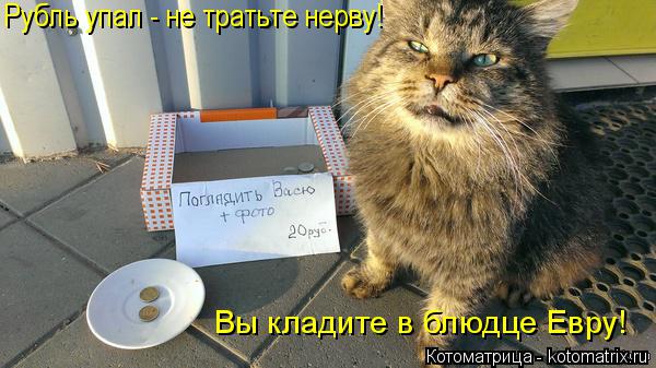 Котоматрица: Рубль упал - не тратьте нерву! Вы кладите в блюдце Евру!