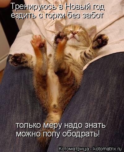 Котоматрица: Тренируюсь в Новый год ездить с горки без забот только меру надо знать можно попу ободрать!