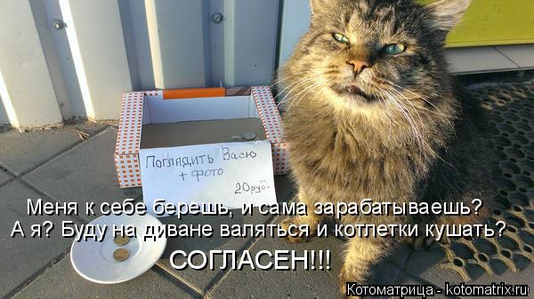 А я? Буду на диване валяться и котлетки кушать? СОГЛАСЕН!!! Меня к себе берешь, и сама зарабатываешь?... Котоматрица: А я? Буду на диване валяться и котлетки кушать? СОГЛАСЕН!!! Меня к себе берешь, и сама зарабатываешь?