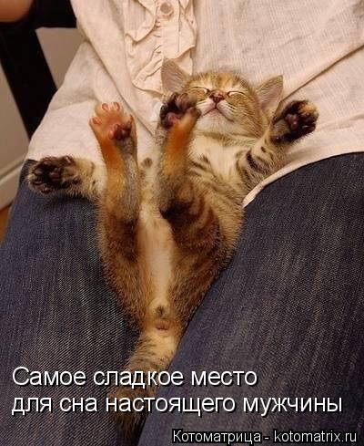 Самое сладкое место для сна настоящего мужчины... Котоматрица: Самое сладкое место для сна настоящего мужчины