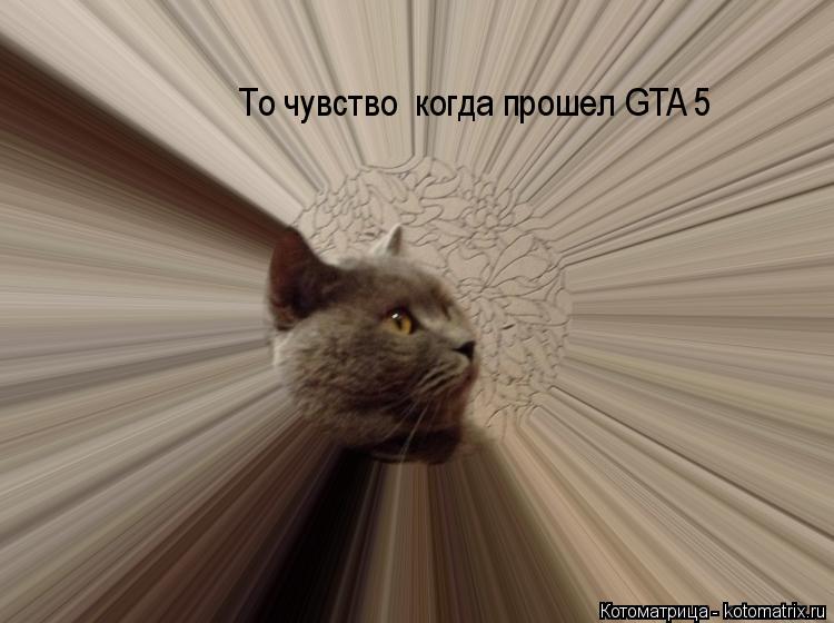 То чувство когда прошел GTA 5... Котоматрица: То чувство когда прошел GTA 5