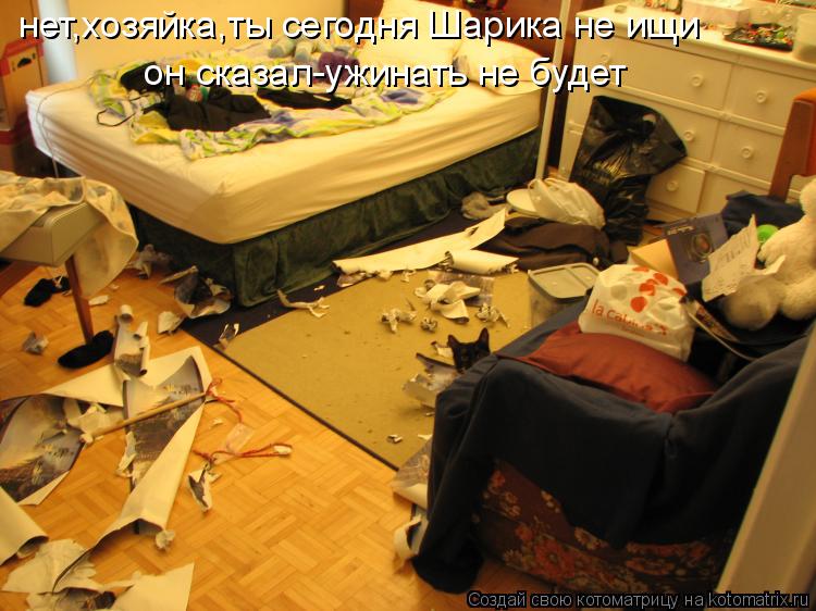 Котоматрица: нет,хозяйка,ты сегодня Шарика не ищи он сказал-ужинать не будет