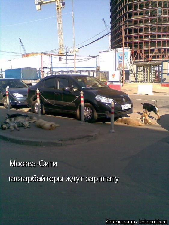 Котоматрица: Москва-Сити гастарбайтеры ждут зарплату