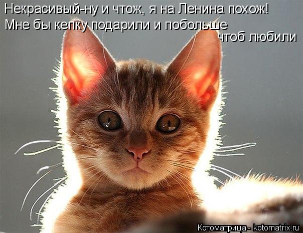 Котоматрица: Некрасивый-ну и чтож, я на Ленина похож! Мне бы кепку подарили и побольше  чтоб любили
