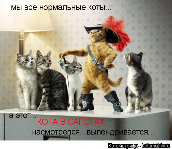 мы все нормальные коты... а этот... КОТА В САПОГАХ насмотрелся...выпендривается...... Котоматрица: мы все нормальные коты... а этот... КОТА В САПОГАХ насмотрелся...выпендривается...