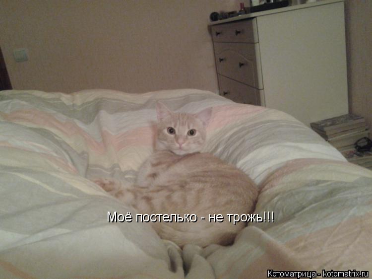 Котоматрица: Моё постелько - не трожь!!!