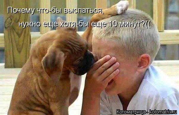 Почему что-бы выспаться, нужно еще хотя-бы еще 10 минут?((... Котоматрица: Почему что-бы выспаться, нужно еще хотя-бы еще 10 минут?((