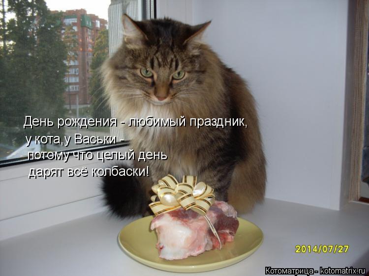 Котоматрица: День рождения - любимый праздник, у кота,у Васьки - потому что целый день дарят всё колбаски!