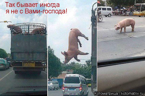 Котоматрица: Так бывает иногда я не с Вами-господа!