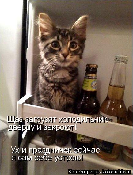 Щаз загрузят холодильник, дверцу и закроют! Ух и праздничек сейчас я сам себе устрою!... Котоматрица: Щаз загрузят холодильник, дверцу и закроют! Ух и праздничек сейчас я сам себе устрою!
