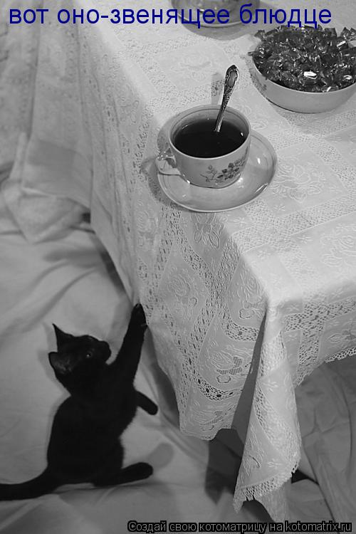 Котоматрица: вот оно-звенящее блюдце