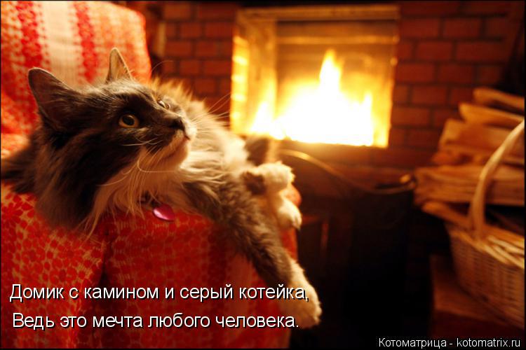 Котоматрица: Ведь это мечта любого человека. Домик с камином и серый котейка,