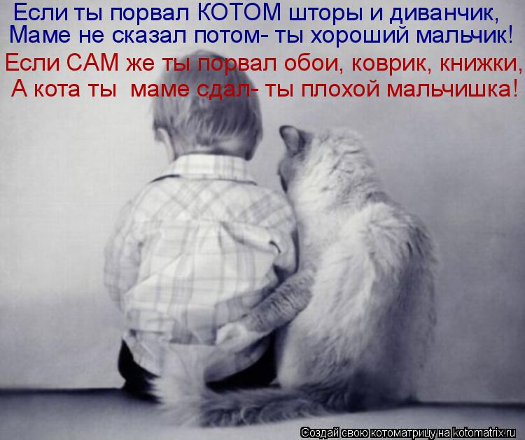 Если ты порвал КОТОМ шторы и диванчик, Маме не сказал потом- ты хороший мальчик! Если САМ же ты порва... Котоматрица: Если ты порвал КОТОМ шторы и диванчик, Маме не сказал потом- ты хороший мальчик! Если САМ же ты порвал обои, коврик, книжки, А кота ты маме сда