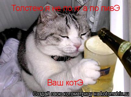 Котоматрица: Толстею я не по кг а по пивЭ Ваш котЭ
