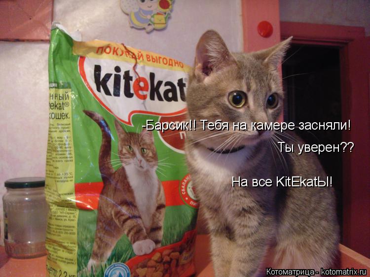 Котоматрица: -Барсик!! Тебя на камере засняли! Ты уверен?? На все KitEkatЫ!