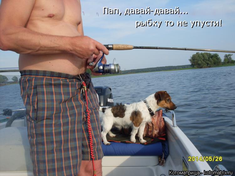 Котоматрица: Пап, давай-давай... рыбку то не упусти!