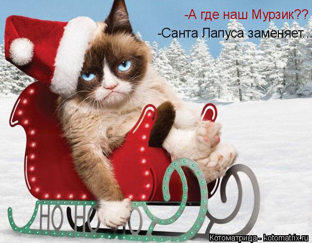 Котоматрица: -А где наш Мурзик?? -Санта Лапуса заменяет...