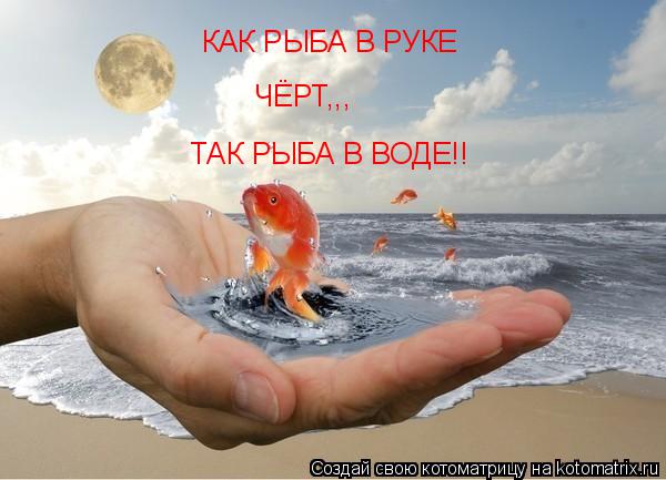 Котоматрица: КАК РЫБА В РУКЕ ЧЁРТ,,, ТАК РЫБА В ВОДЕ!!