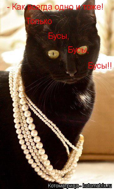 Котоматрица: - Как всегда одно и тоже! Только Бусы, Бусы, Бусы!!