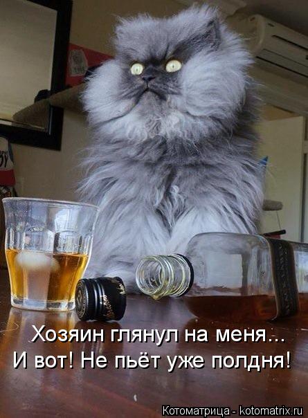 Котоматрица: Хозяин глянул на меня... И вот! Не пьёт уже полдня!