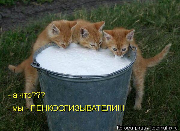 Котоматрица: - а что??? - мы - ПЕНКОСЛИЗЫВАТЕЛИ!!!