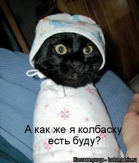 Котоматрица: есть буду? А как же я колбаску