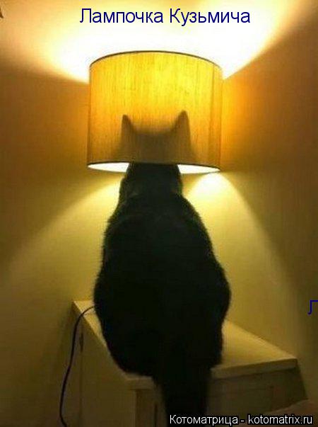 Котоматрица: Лампочка Кузьмича Лампочка Кузьмича