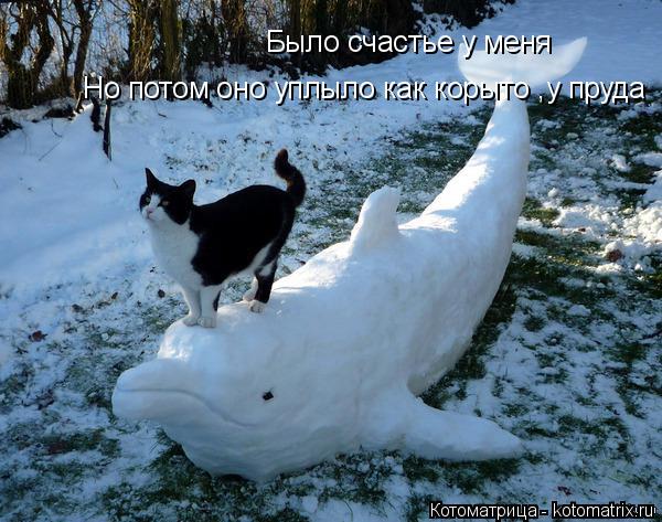 Котоматрица: Было счастье у меня Но потом оно уплыло как корыто ,у пруда
