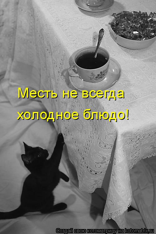 Месть не всегда холодное блюдо!... Котоматрица: Месть не всегда холодное блюдо!