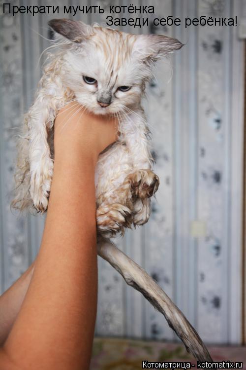 Котоматрица: Прекрати мучить котёнка Заведи себе ребёнка!