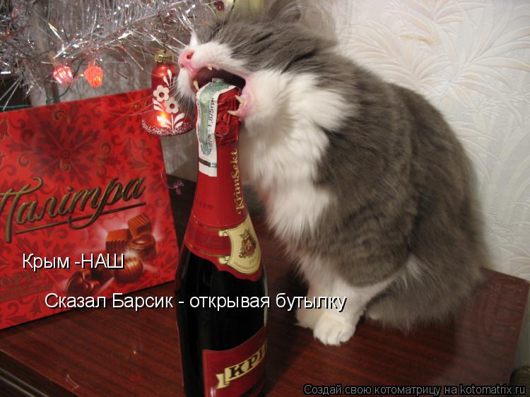 Котоматрица: Крым -НАШ Сказал Барсик - открывая бутылку