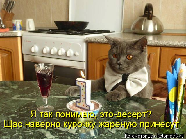 Котоматрица: Я так понимаю, это-десерт? Щас наверно курочку жареную принесут