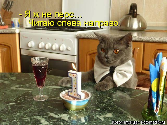 Котоматрица: - Я ж не перс… Читаю слева направо.