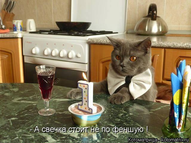 Котоматрица: - А свечка стоит не по феншую !