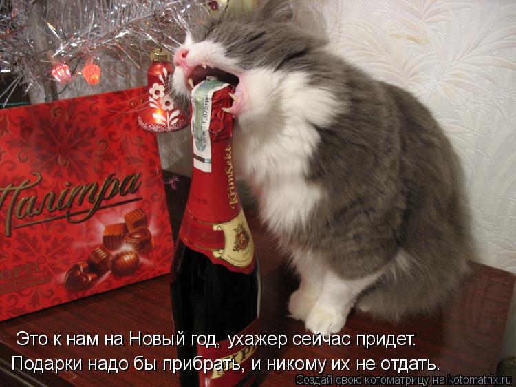 Котоматрица: Это к нам на Новый год, ухажер сейчас придет. Подарки надо бы прибрать, и никому их не отдать.
