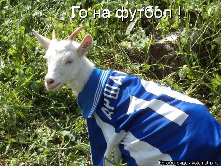 Го на футбол !... Котоматрица: Го на футбол !