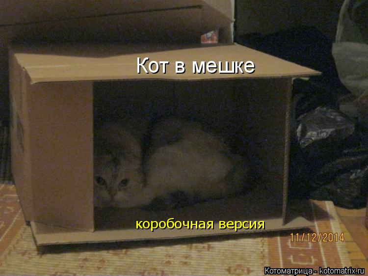 Кот в мешке коробочная версия... Котоматрица: Кот в мешке коробочная версия