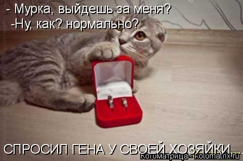 - Мурка, выйдешь за меня? - Мурка, выйдешь за меня? -Ну, как? нормально? СПРОСИЛ ГЕНА У СВОЕЙ ХОЗЯЙКИ... Котоматрица: - Мурка, выйдешь за меня? - Мурка, выйдешь за меня? -Ну, как? нормально? СПРОСИЛ ГЕНА У СВОЕЙ ХОЗЯЙКИ....